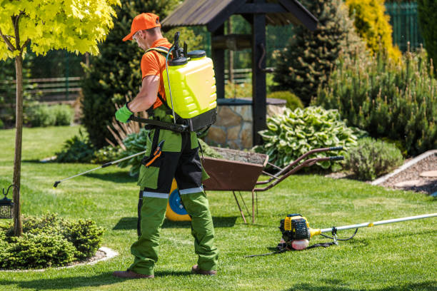 Best Pest Exclusion Services  in Manhasset Hills, NY